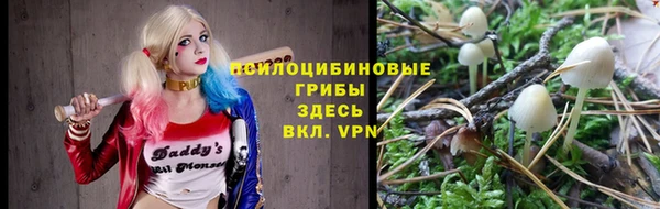 крисы Алексеевка