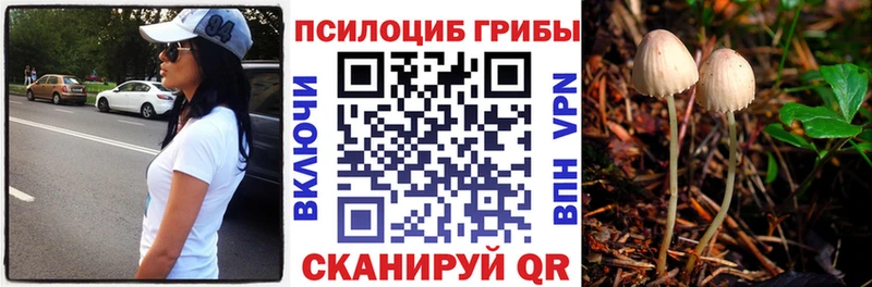 Псилоцибиновые грибы Psilocybine cubensis  наркотики  МЕГА   Кола 